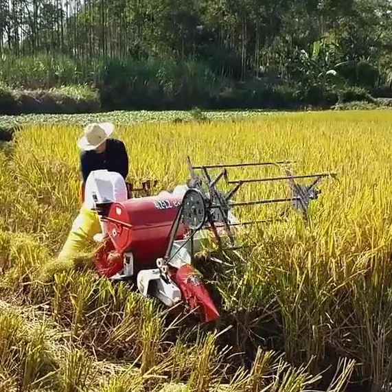ماكينة حصاد أرز القمح الجديدة  - مراجعة Combine Harvester Mini وسعره